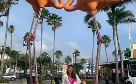 Harmony Hotel Hostel Aruba