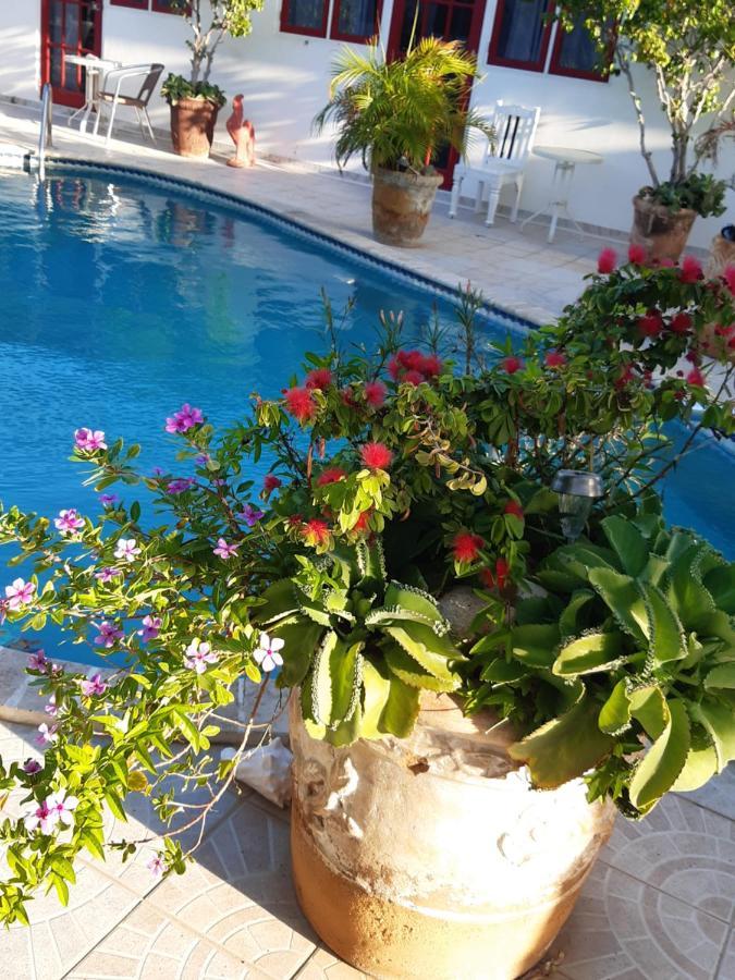 Harmony Hotel Hostel Aruba Tanki Leendert Exterior photo