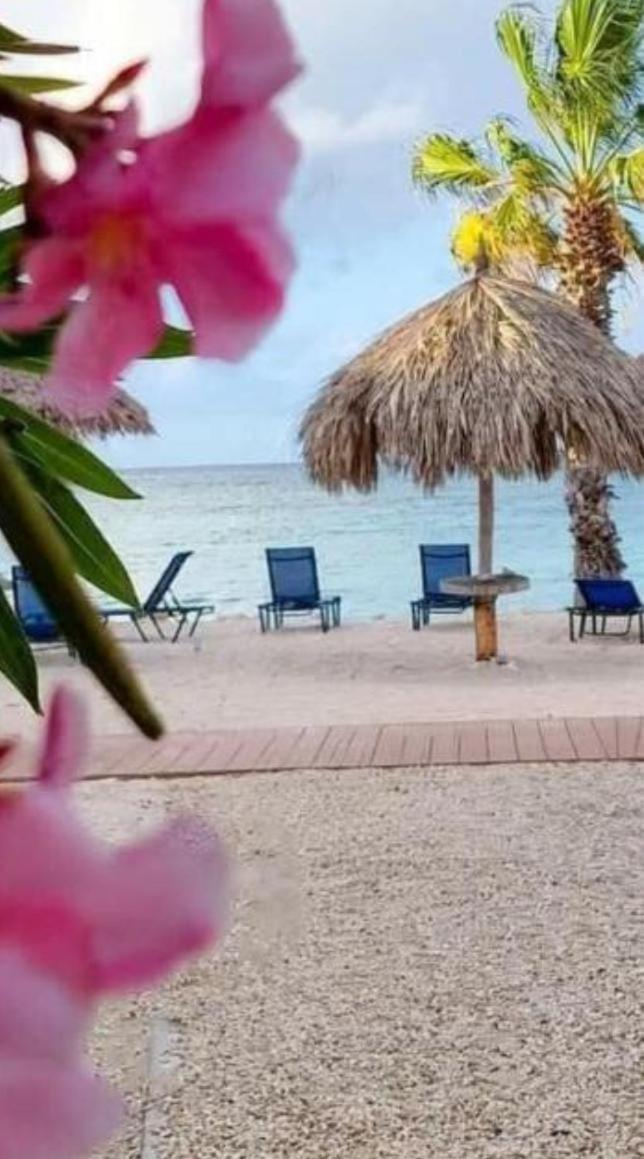 Harmony Hotel Hostel Aruba Tanki Leendert Exterior photo